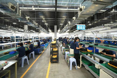 阜陽市委書記帶隊 去了這些企業