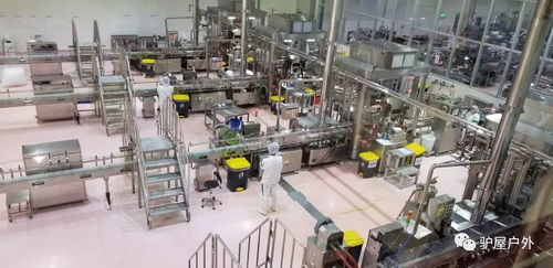 養樂多工廠探游 100億活性菌的健康秘密與科技守護